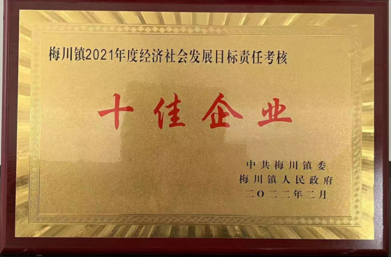 十佳企业