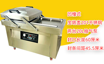 DZ-600/2SC双室凹槽真空包装机